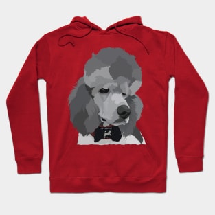 Poodle dog Hoodie